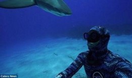 美军潜水员爆料新闻视频,深海秘密行动内幕曝光